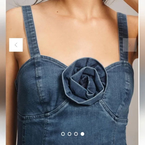 Anthropologie Porridge Rosette Denim Slim Mini Dress feminine romantic - Picture 3 of 11